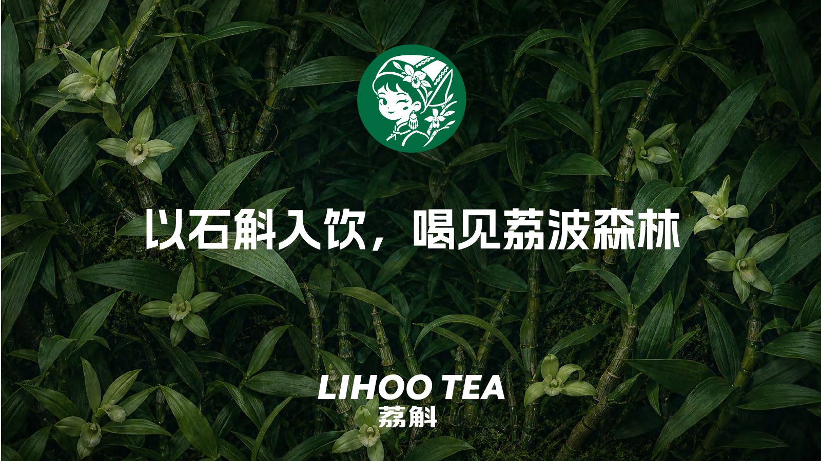 荔斛森林品牌主视觉